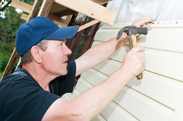 Affordable siding repair and maintenance services in Hampton, IL